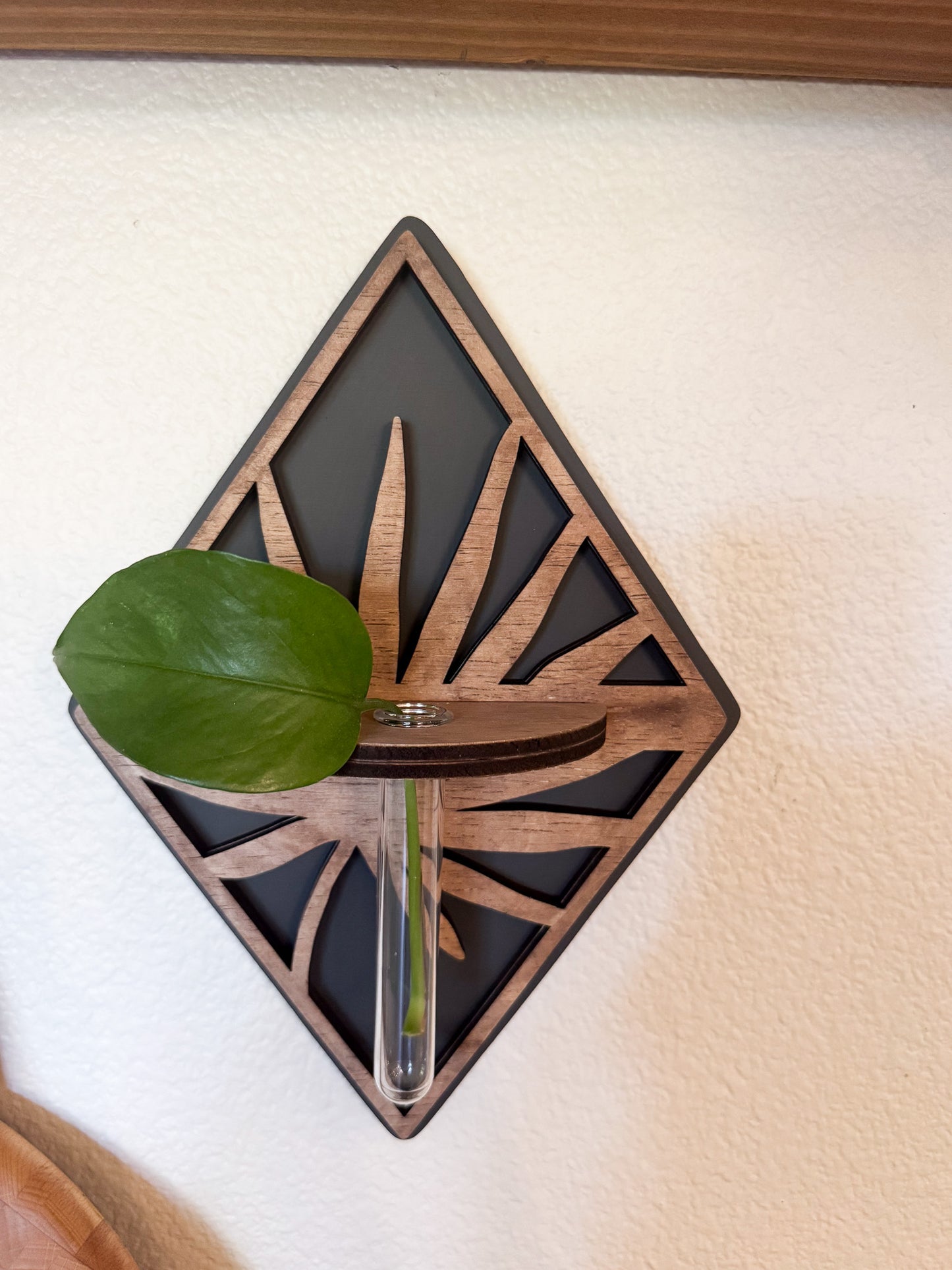 Plant propagation bud vase