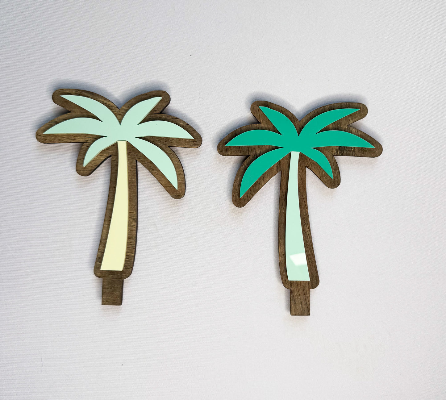 Palm Tree