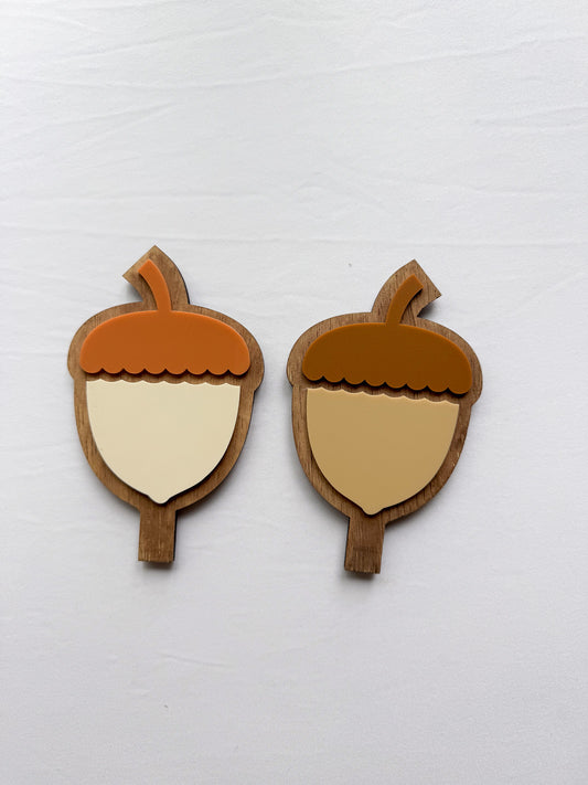 Acorn