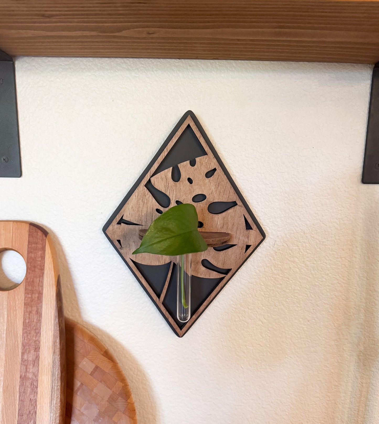 Plant propagation bud vase