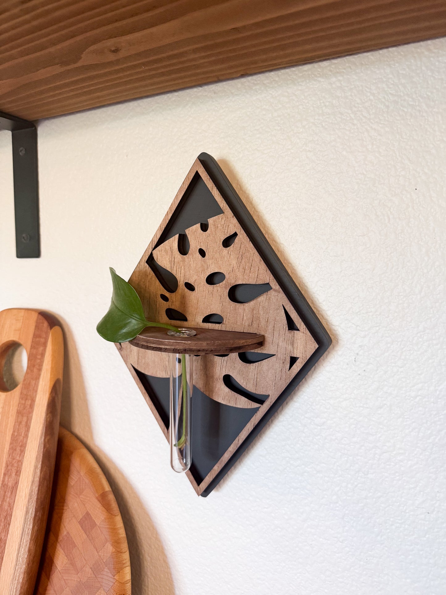 Plant propagation bud vase