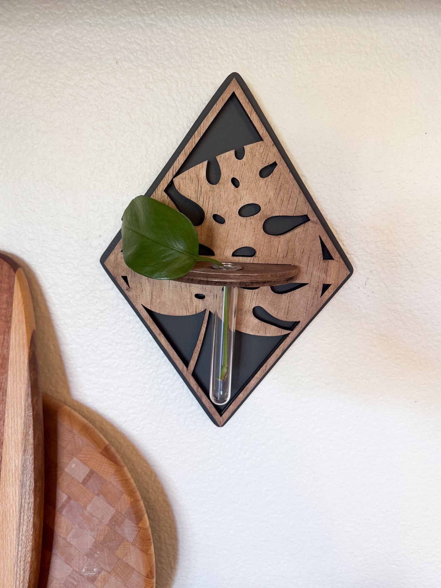 Plant propagation bud vase