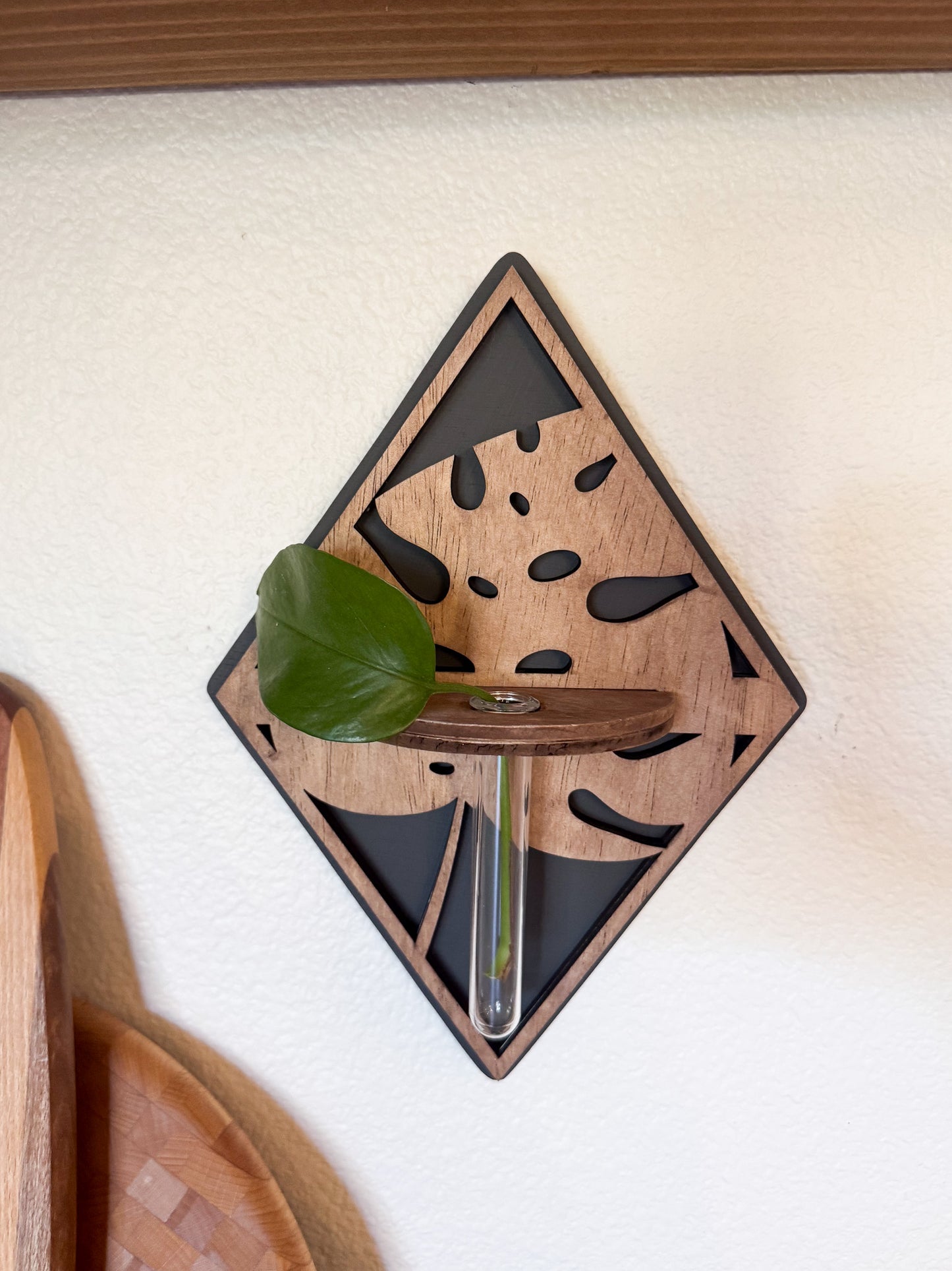 Plant propagation bud vase