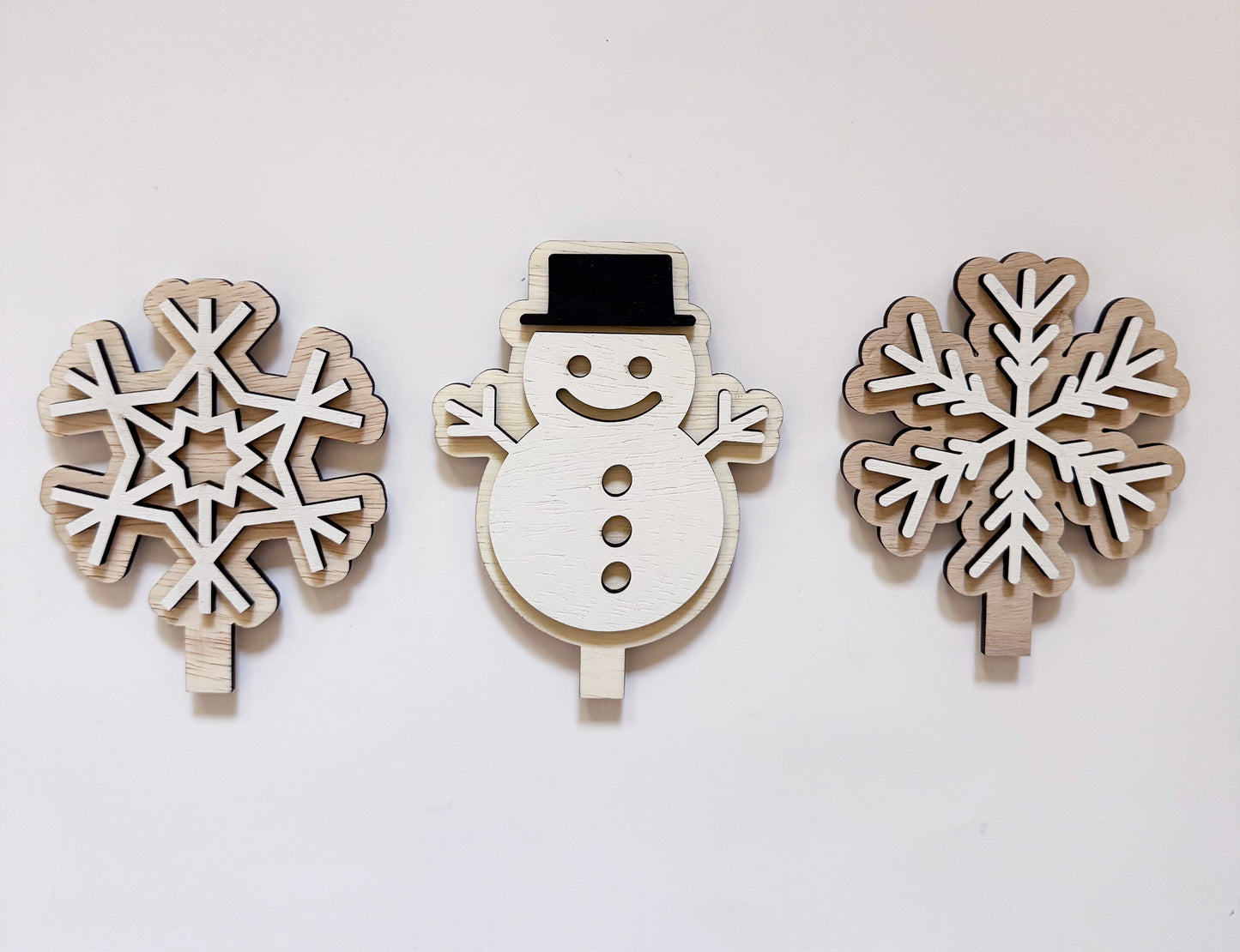 Winter Wreath Starter Set