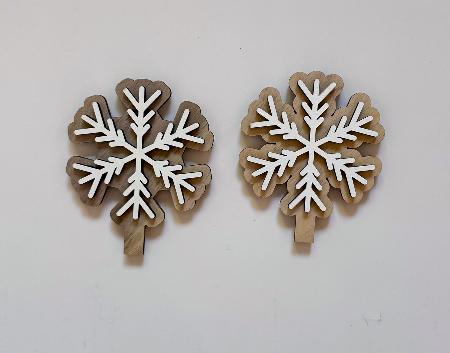 Winter Wreath Starter Set